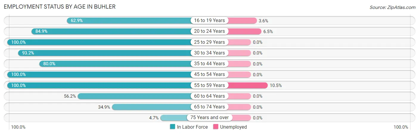 Employment Status by Age in Buhler