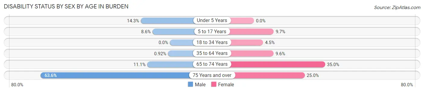 Disability Status by Sex by Age in Burden
