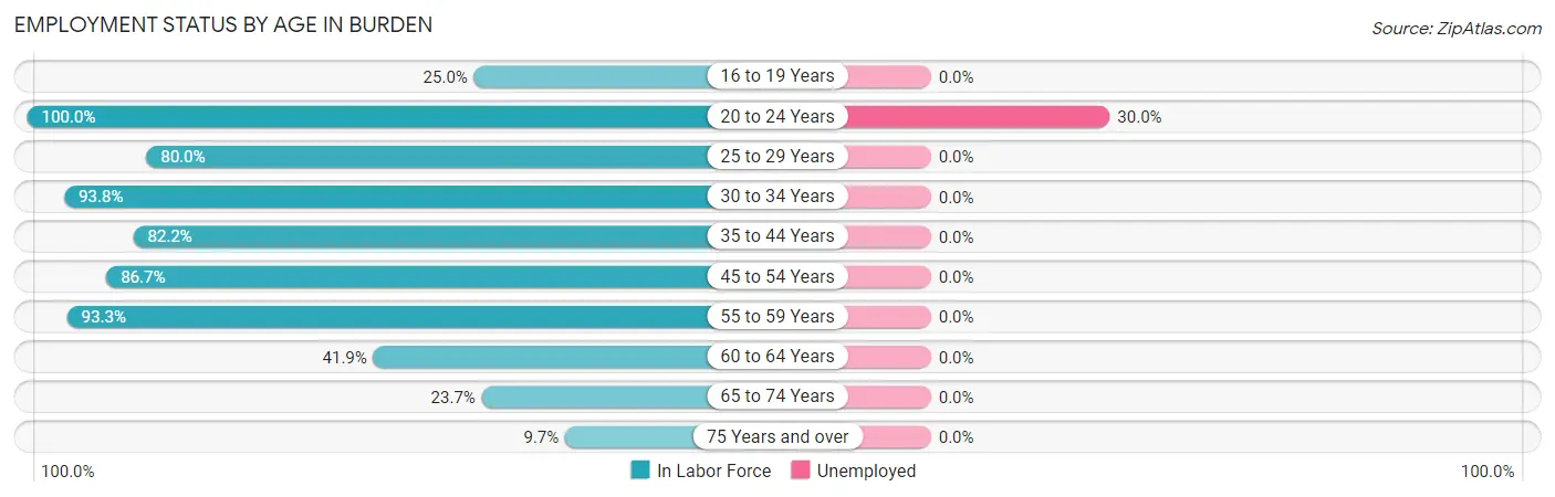 Employment Status by Age in Burden