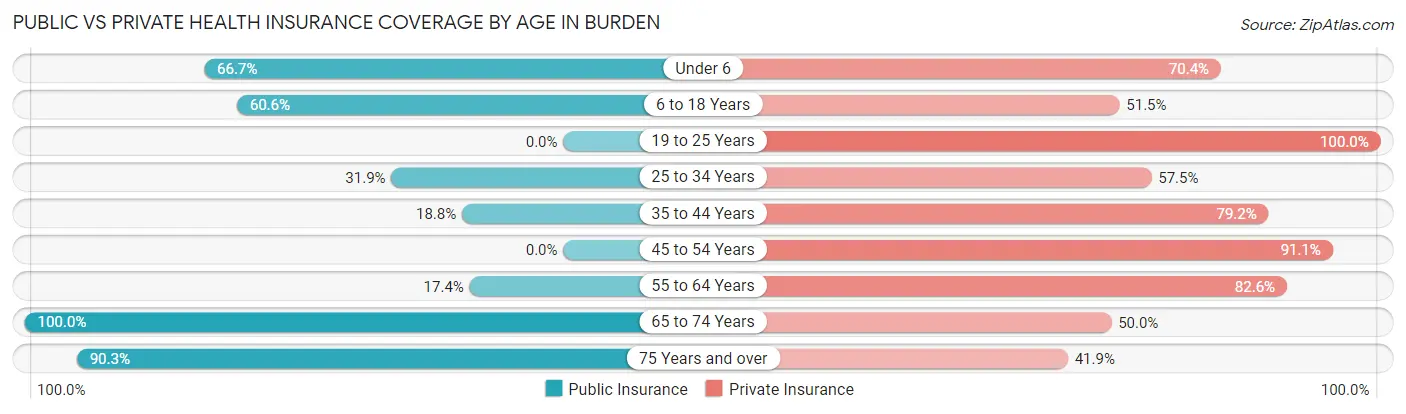 Public vs Private Health Insurance Coverage by Age in Burden
