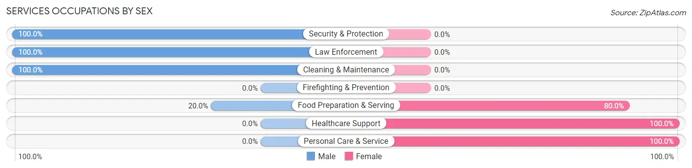 Services Occupations by Sex in Burdett