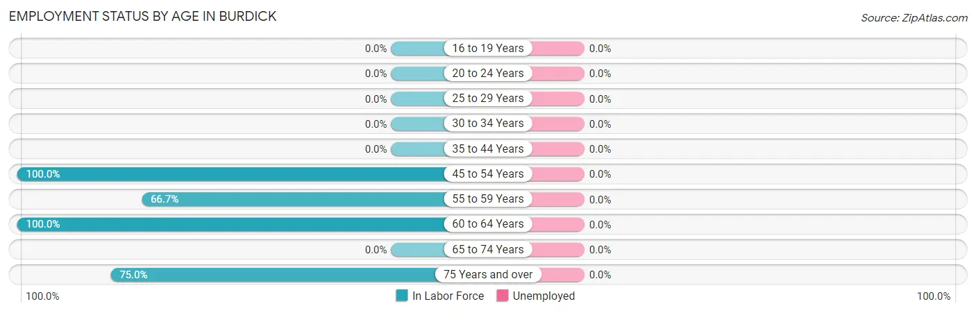 Employment Status by Age in Burdick