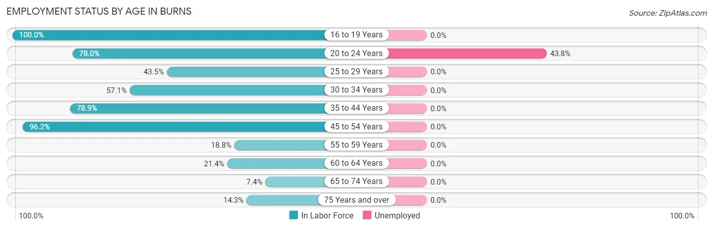 Employment Status by Age in Burns