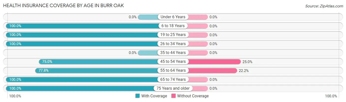 Health Insurance Coverage by Age in Burr Oak