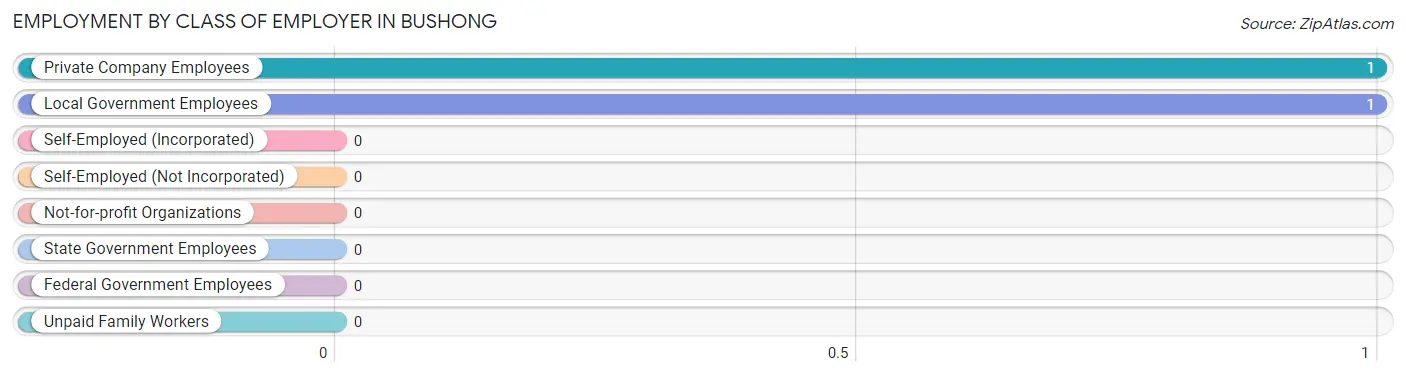 Employment by Class of Employer in Bushong