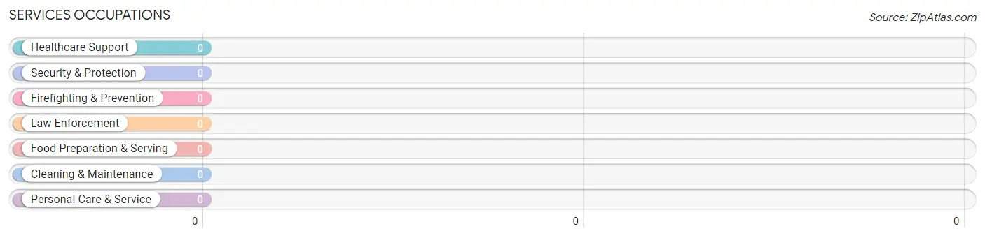 Services Occupations in Bushong