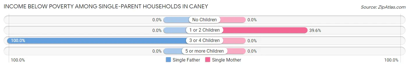 Income Below Poverty Among Single-Parent Households in Caney