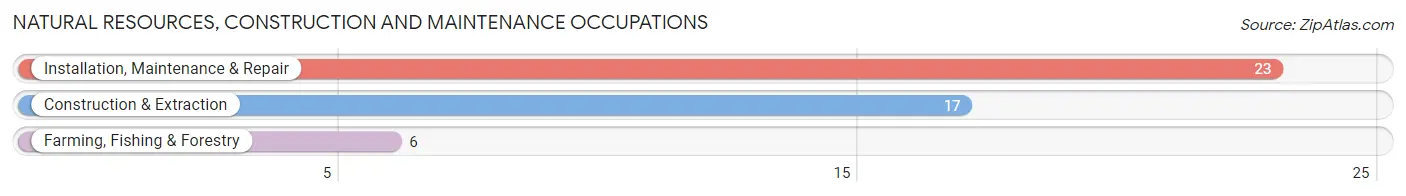 Natural Resources, Construction and Maintenance Occupations in Chase