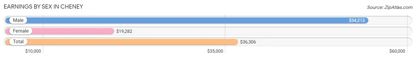 Earnings by Sex in Cheney