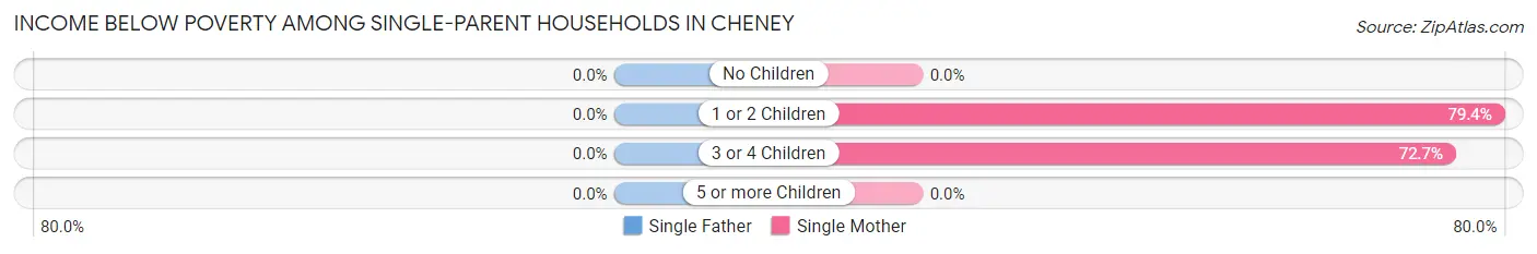 Income Below Poverty Among Single-Parent Households in Cheney