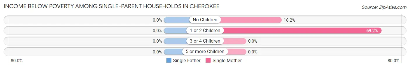 Income Below Poverty Among Single-Parent Households in Cherokee