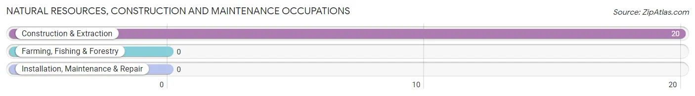 Natural Resources, Construction and Maintenance Occupations in Chicopee