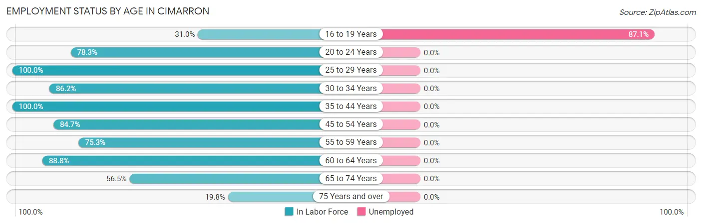 Employment Status by Age in Cimarron