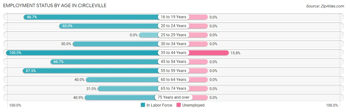 Employment Status by Age in Circleville