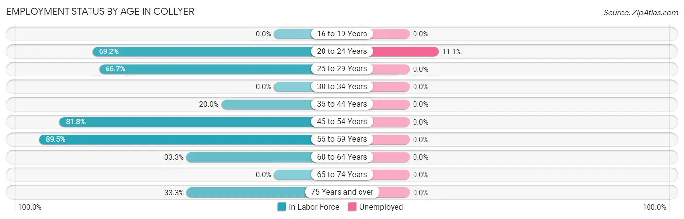 Employment Status by Age in Collyer