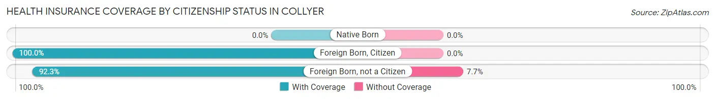 Health Insurance Coverage by Citizenship Status in Collyer