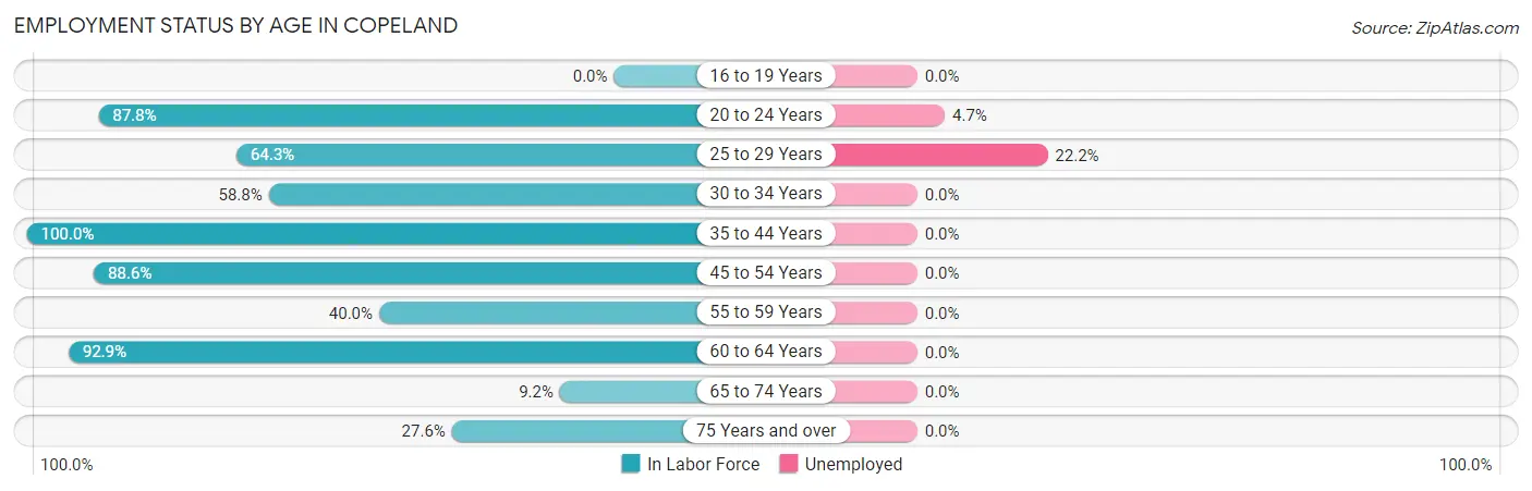 Employment Status by Age in Copeland