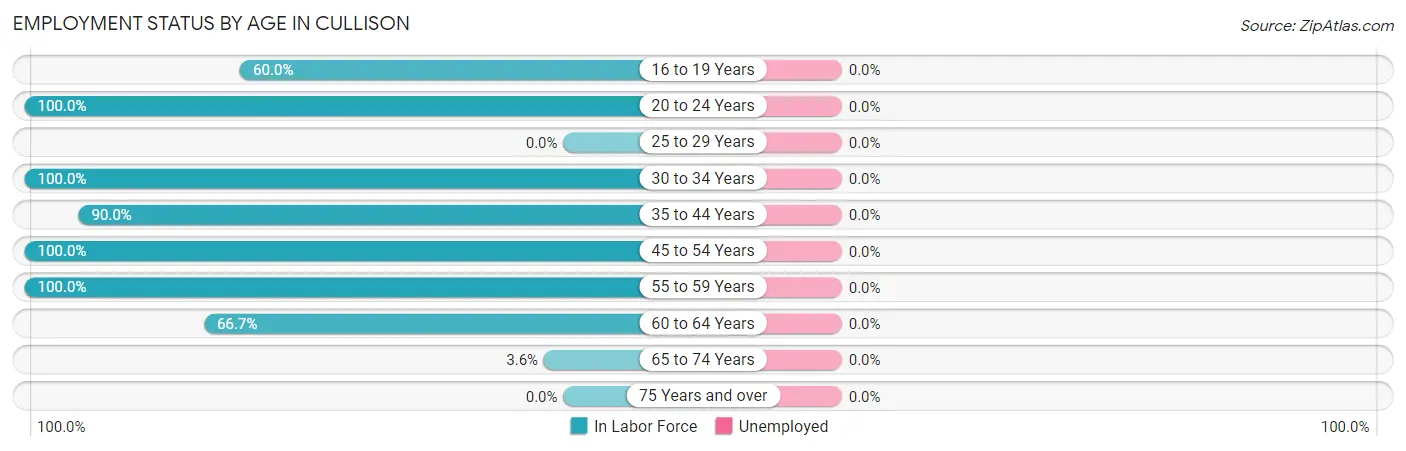 Employment Status by Age in Cullison
