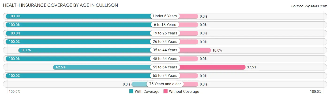 Health Insurance Coverage by Age in Cullison