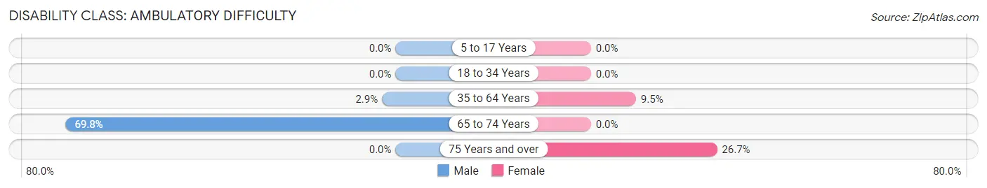 Disability in Cunningham: <span>Ambulatory Difficulty</span>