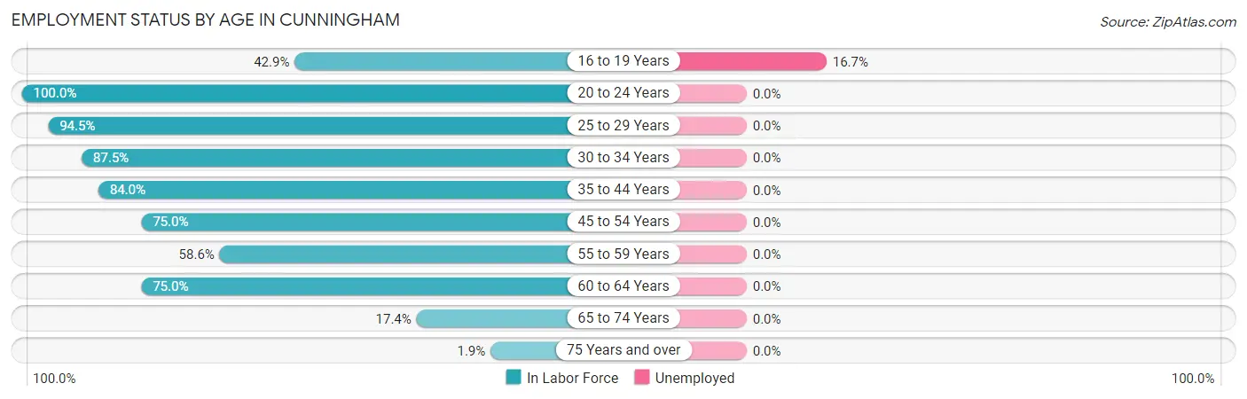 Employment Status by Age in Cunningham