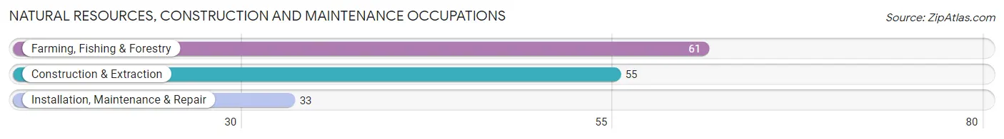 Natural Resources, Construction and Maintenance Occupations in Deerfield