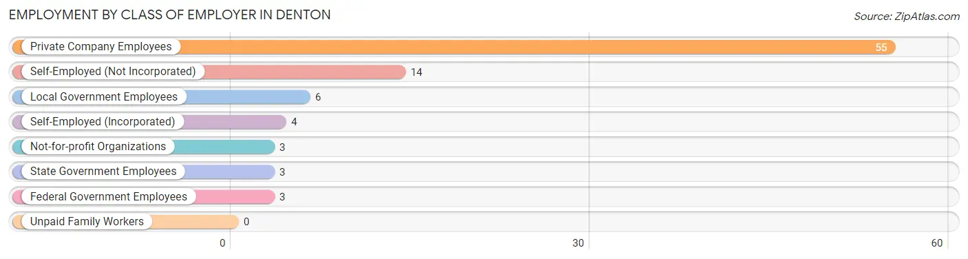 Employment by Class of Employer in Denton