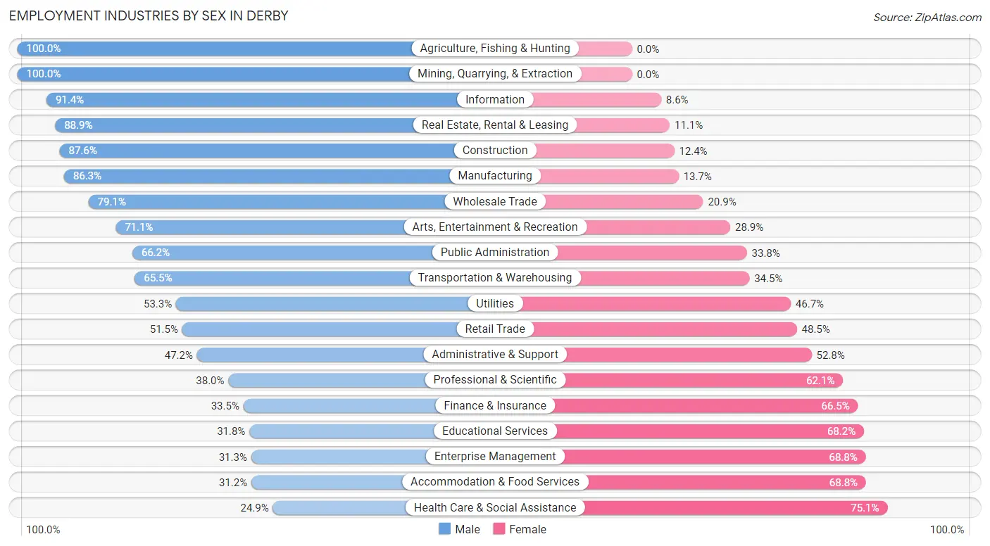 Employment Industries by Sex in Derby