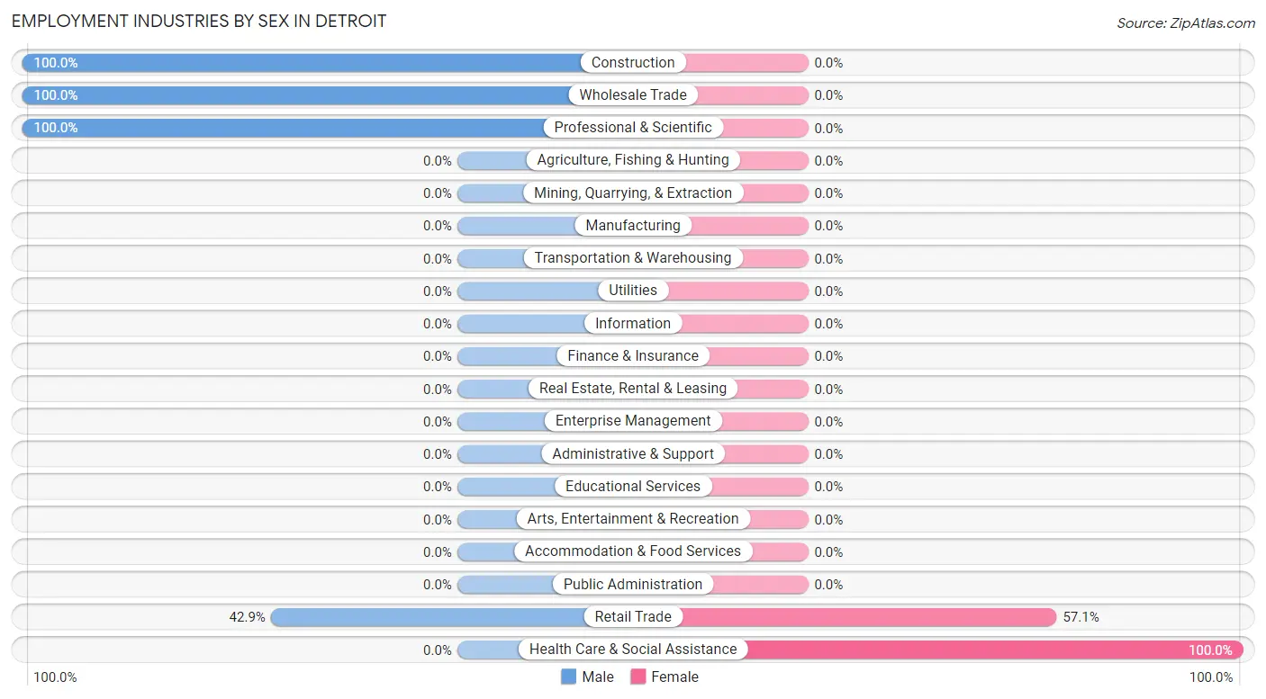 Employment Industries by Sex in Detroit