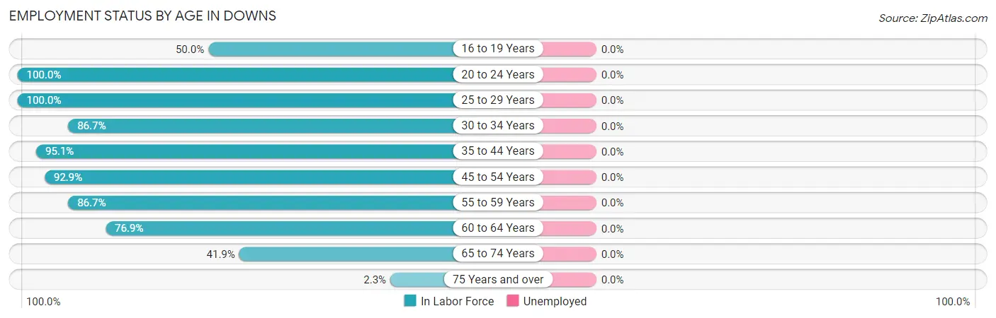 Employment Status by Age in Downs