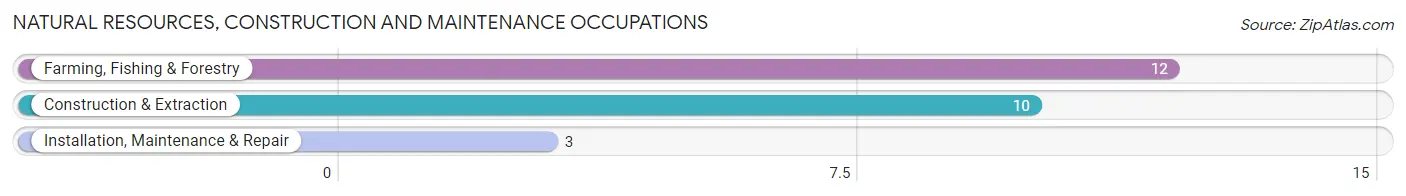 Natural Resources, Construction and Maintenance Occupations in Downs