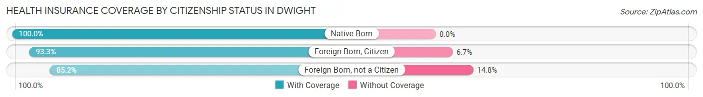 Health Insurance Coverage by Citizenship Status in Dwight