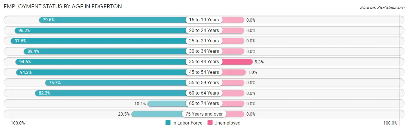 Employment Status by Age in Edgerton