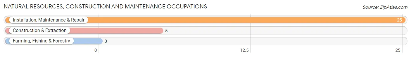 Natural Resources, Construction and Maintenance Occupations in Edna