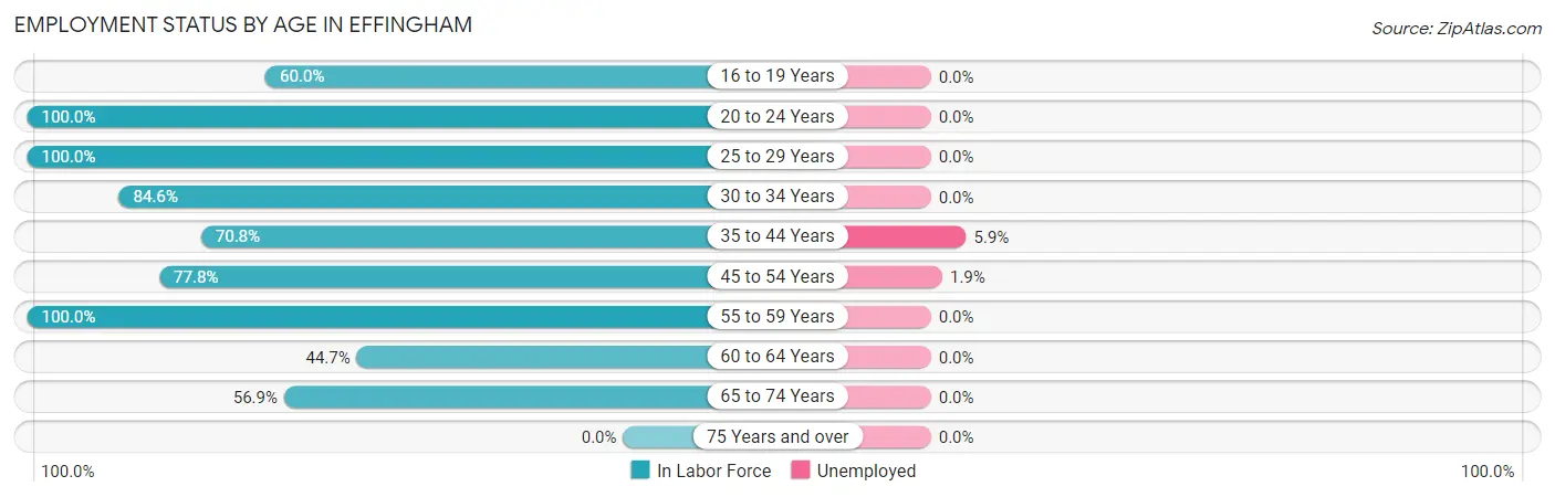 Employment Status by Age in Effingham