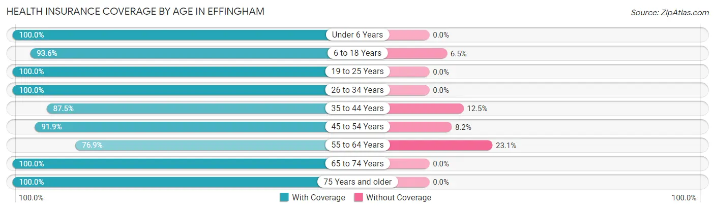 Health Insurance Coverage by Age in Effingham