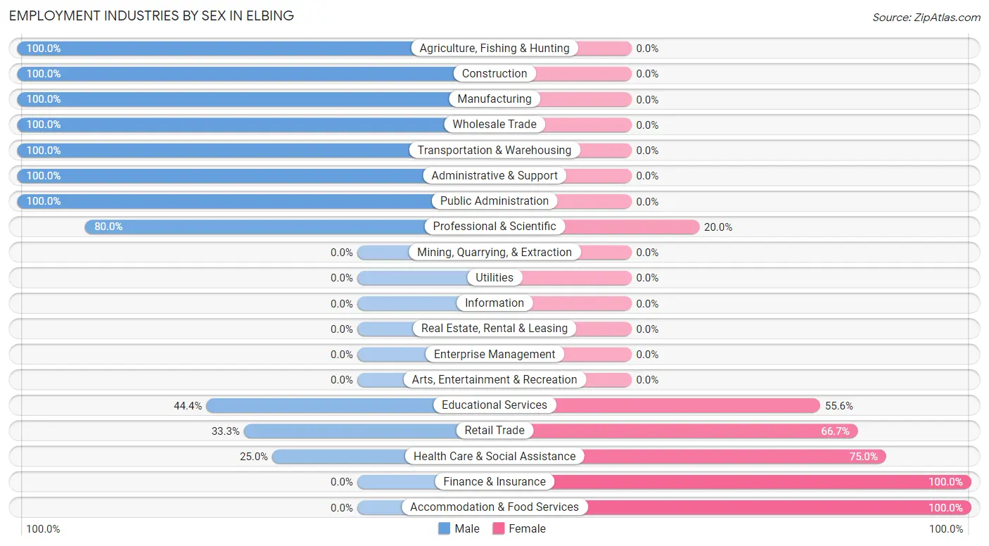 Employment Industries by Sex in Elbing