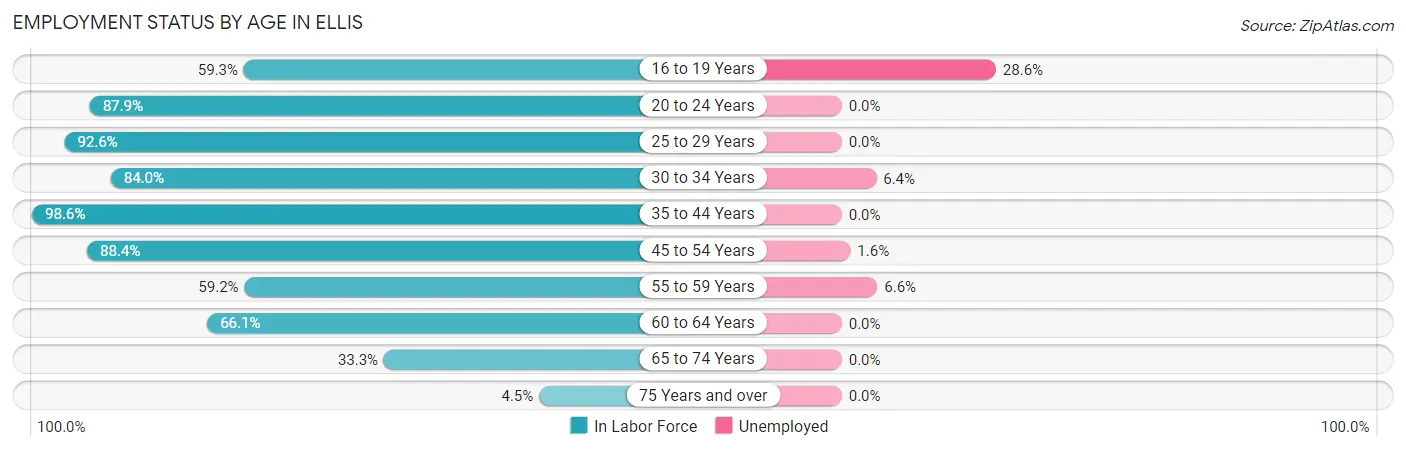 Employment Status by Age in Ellis