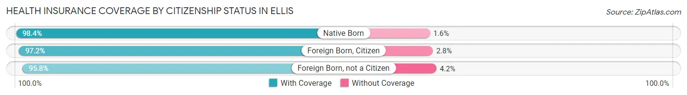 Health Insurance Coverage by Citizenship Status in Ellis