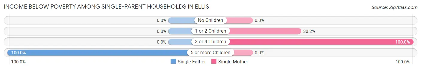 Income Below Poverty Among Single-Parent Households in Ellis