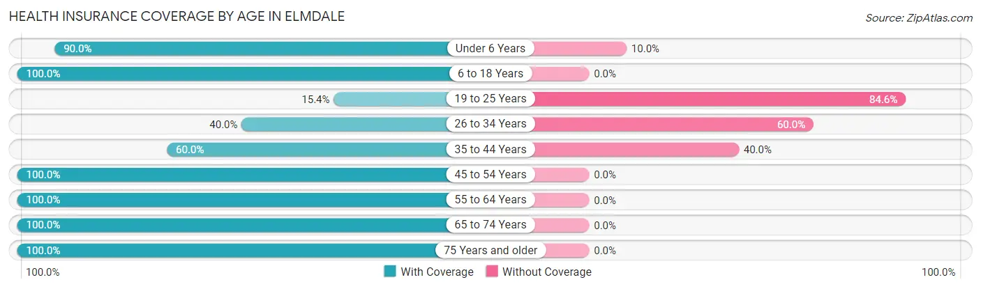 Health Insurance Coverage by Age in Elmdale