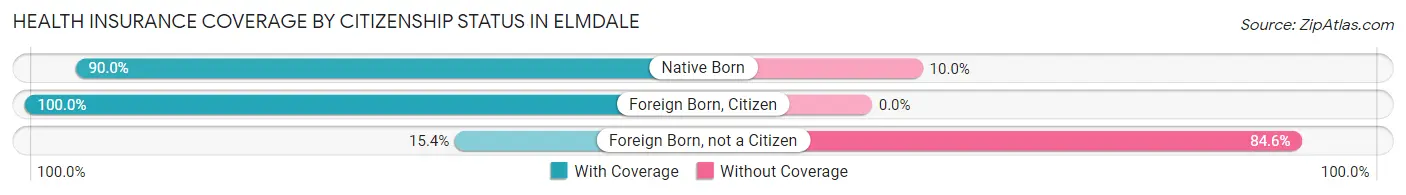 Health Insurance Coverage by Citizenship Status in Elmdale