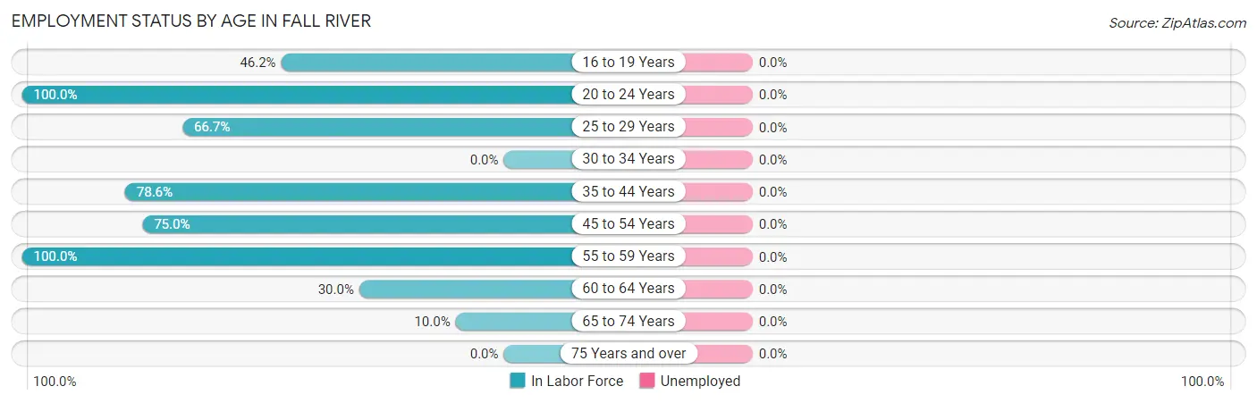Employment Status by Age in Fall River