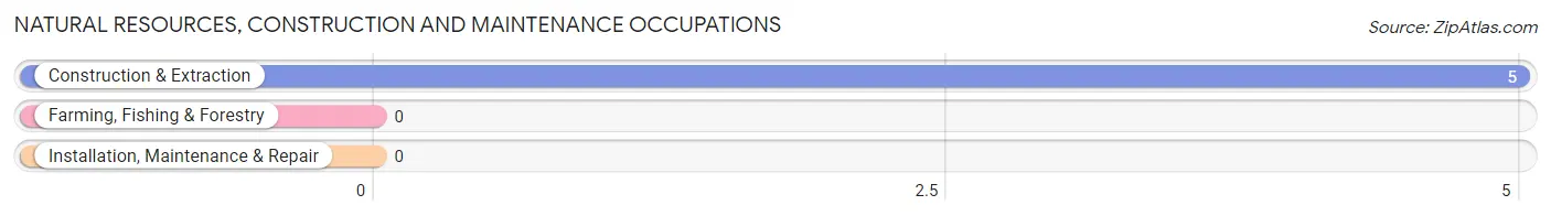 Natural Resources, Construction and Maintenance Occupations in Fall River