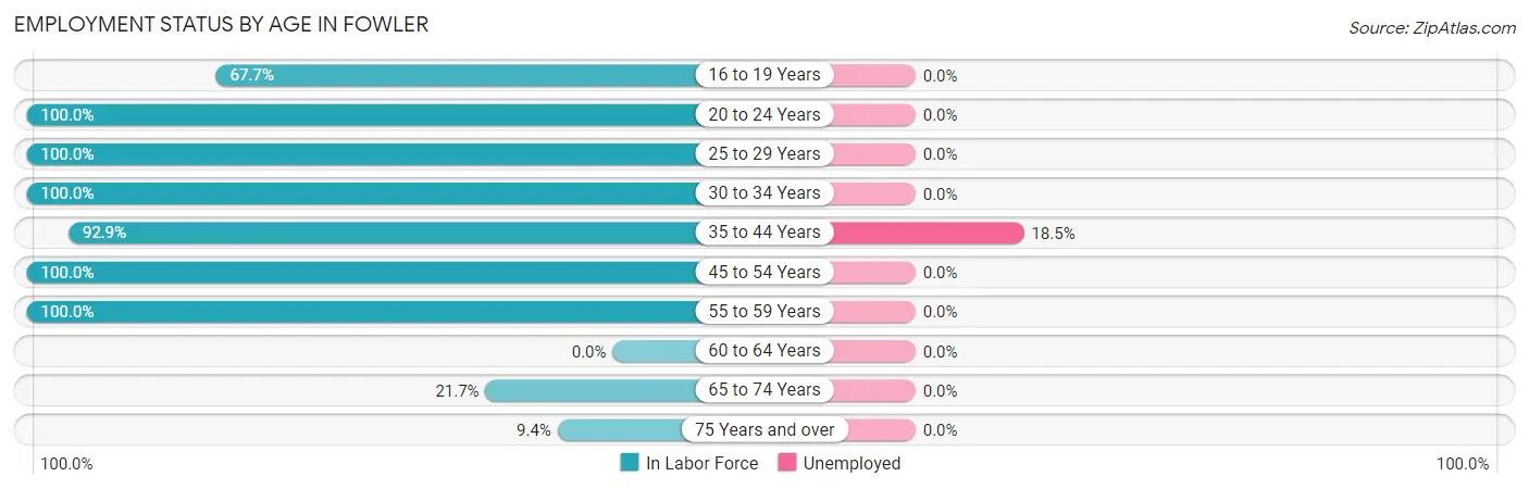 Employment Status by Age in Fowler