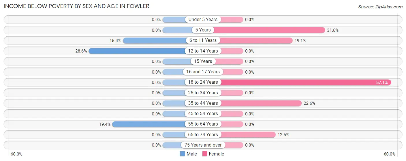 Income Below Poverty by Sex and Age in Fowler