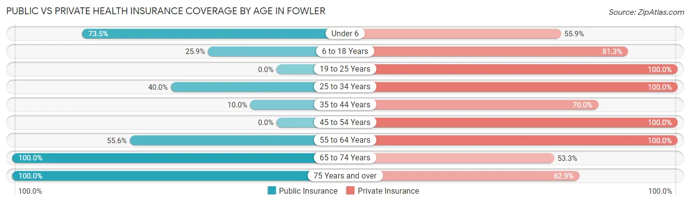 Public vs Private Health Insurance Coverage by Age in Fowler