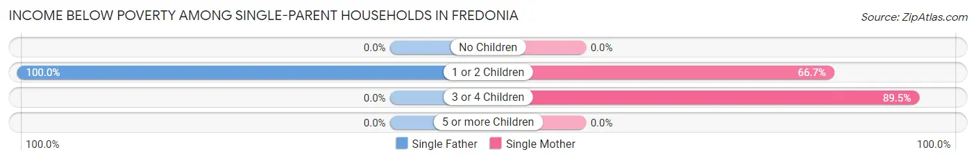 Income Below Poverty Among Single-Parent Households in Fredonia