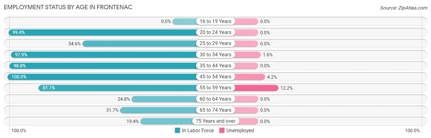 Employment Status by Age in Frontenac