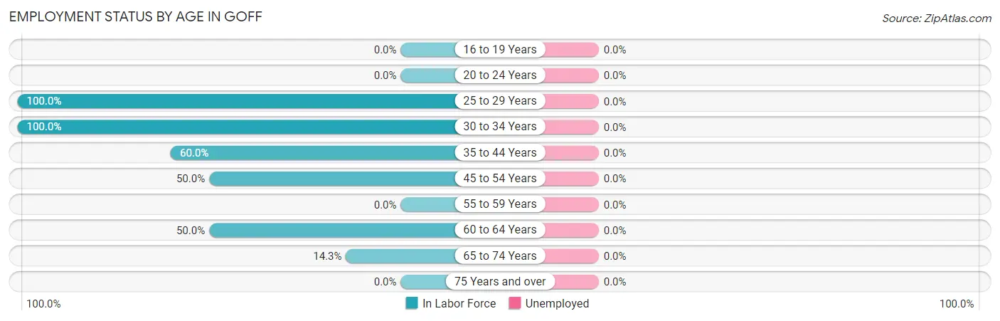 Employment Status by Age in Goff